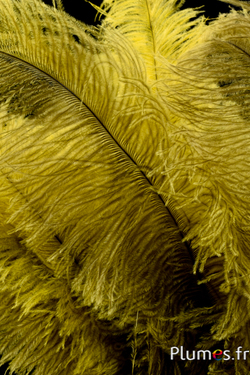 Autruche - 32-42 cm - gris clair-jaune